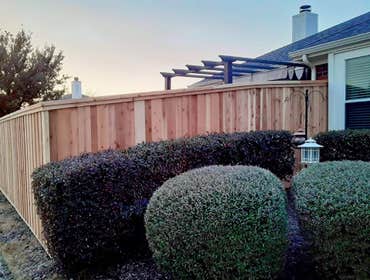Fences and Pergolas