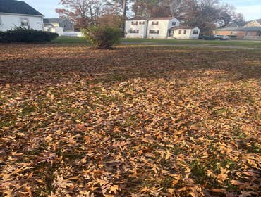 Photos by Beauty Meister Landscaping LLC #2