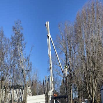 Franklin Tree Service