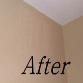 wall repair