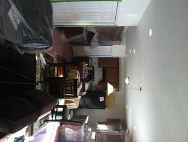 Profecto Painting Project 1