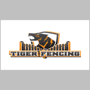 Photos by Tiger Fencing #1