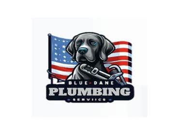 Photos by Blue Dane plumbing Services #1