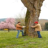 Photo(s) from Northwest Arbor-Culture Inc.