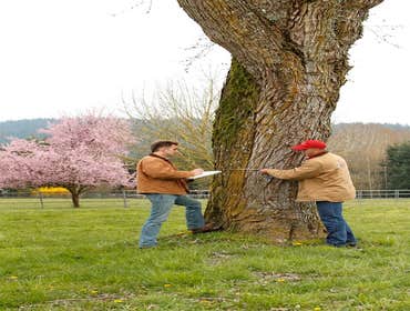 Photo(s) from Northwest Arbor-Culture Inc.