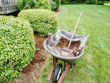 Photos by Jb Sanchez Landscaping #1