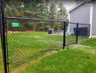 Chain Link