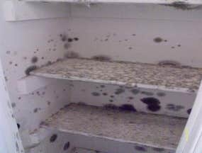 mold damage in a closet.