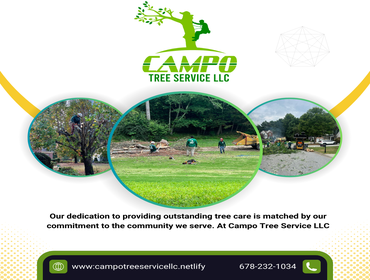 Photos by Campo Tree Service LLC #3