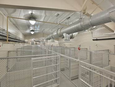 Animal Defense League Kennel Project