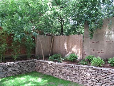 Brooklyn Backyard