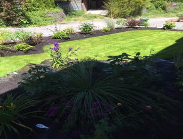 Photos by Esteban Landscaping LLC #1