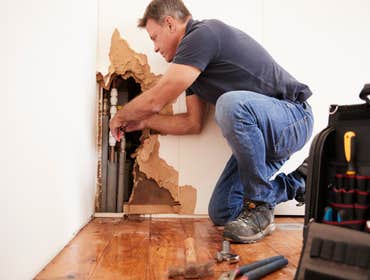 Photos by Pure Maintenance Mold Remediation - Palm Beach #1