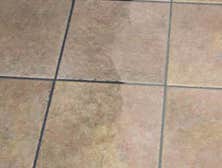 Photo(s) from Carpet Professionals