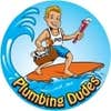 plumbing Dudes logo