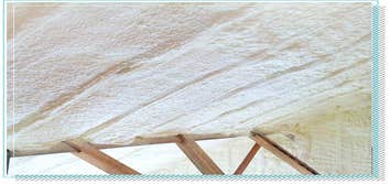 Ecofoam, LLC