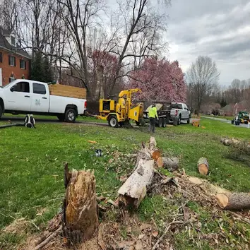 H&e Tree Service & Landscaping