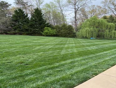 Photos by Hernandez ASSOC. Landscaping