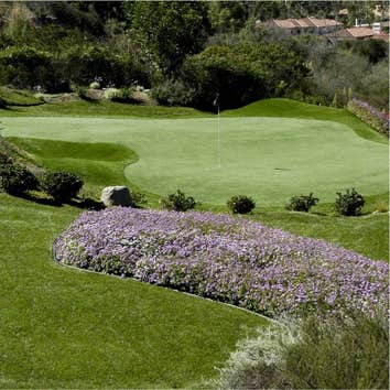 Envylawn