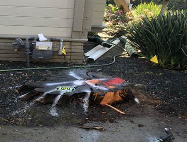 Photos by Encinal Tree Service Inc #10