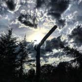 Photos by Dawkins Boys Tree Experts LLC #1