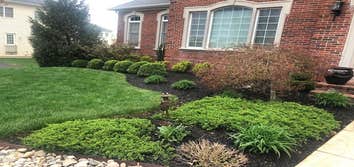 Photos by Patricia Multiservice and Landscaping #2