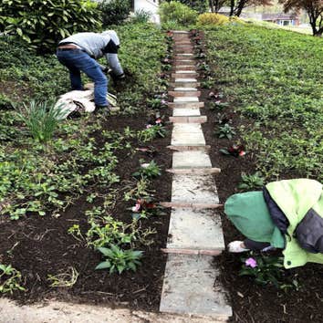 Photos by Cortez Lawn & Landscaping Inc #1
