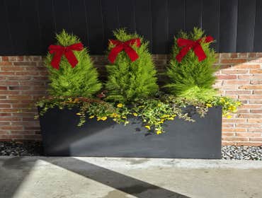 Photos by Brightday Landscaping LLC #1