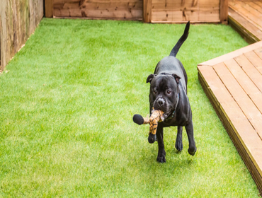 Photos by Gilbert Artificial Turf & Green #1