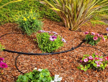 Photos by Violet Crown Austin Landscaping and Design #1