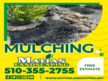 Photos by Matias Landscaping #26