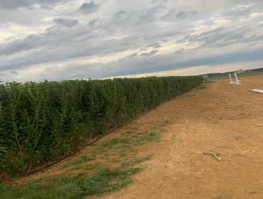 Photos by Peconic Garden and Landscaping #2