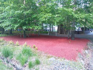 Photos from Lozenski Tree and Construction