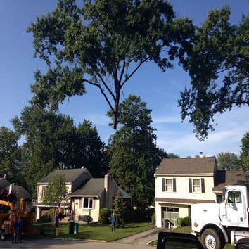 Photos from Kingkiner Tree Service LLC