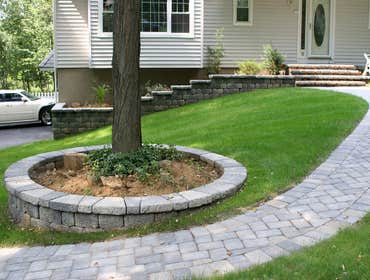 Our Work
