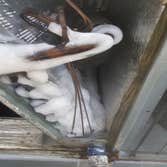 Frozen Evap Coil
