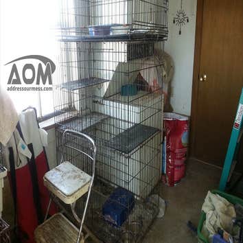 Animal Hoarding
