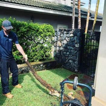 All Aloha Plumbing Maui