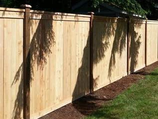 Cedar