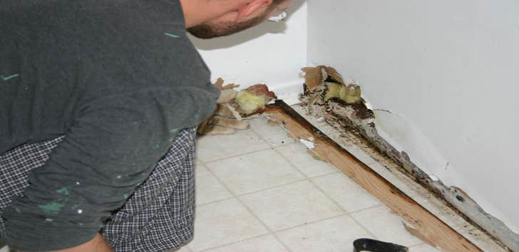Queen City of the Plains Water Damage Experts