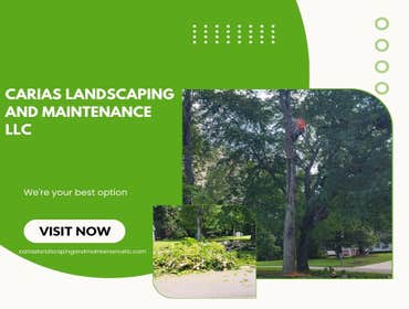 Photos by Carias Landscaping and Maintenance, LLC #9