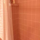 before of shower tile update