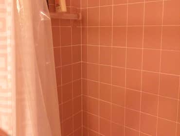 before of shower tile update