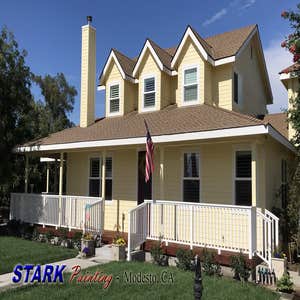 Stark Painting