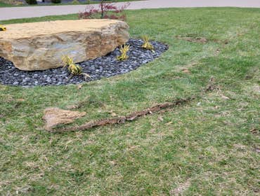 Photos by Alberto Alavez Professional Lawn Services LLC #10