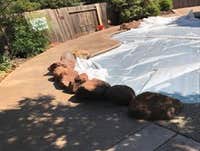 Photos from Nunez concrete inc