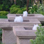 Works by San Diego Landcare Sy