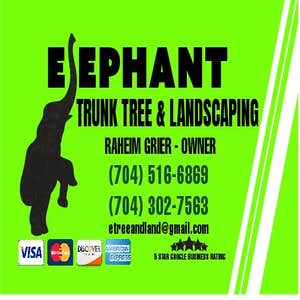 Elephant Trunk Tree and Landscaping