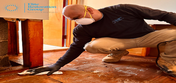 Photos by Elite Restoration Group #1 water damage restoration