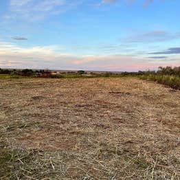 Lowdown Land Clearing